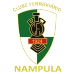 費羅瓦裏奧利欣加